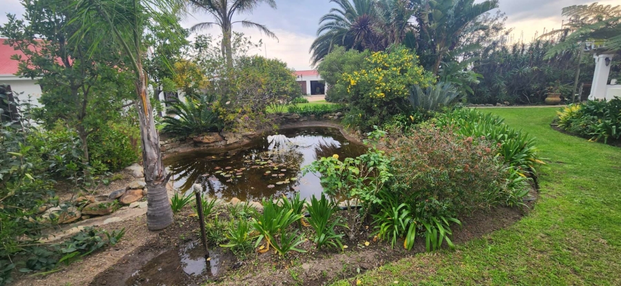 6 Bedroom Property for Sale in George Rural Western Cape